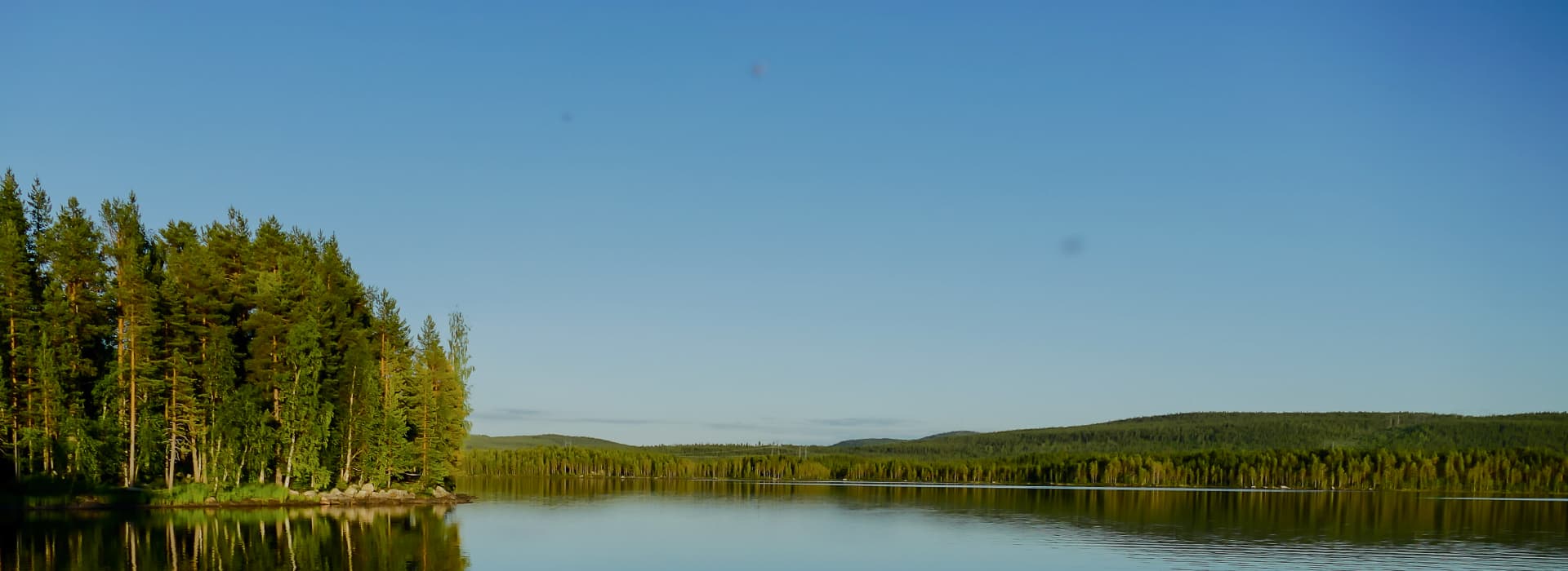 電廠(chǎng)應(yīng)用