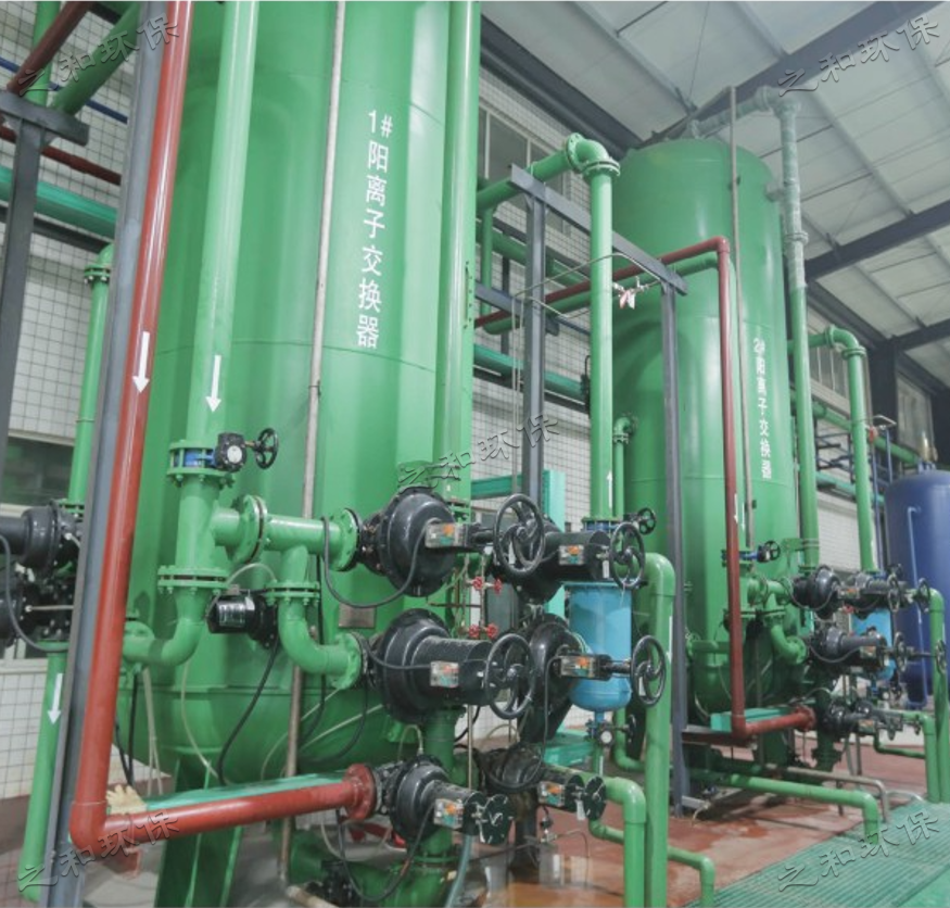 陰、陽(yáng)床離子交換器